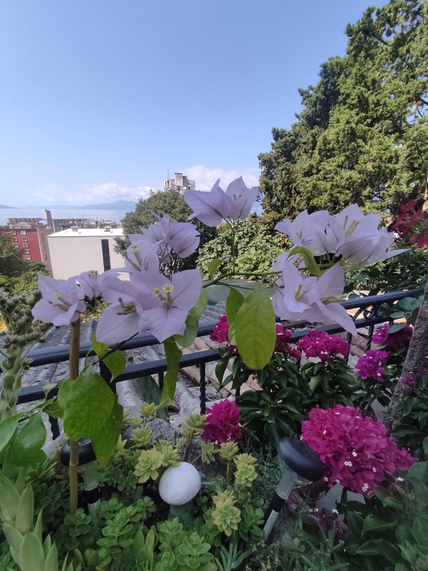 Apartman Bella Vista Rijeka Apartamento Exterior foto